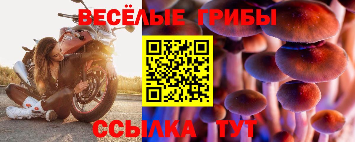 Меф МЯУ МЯУ  NBOMe  МЕФ   КОКАИН  Вход с VPN  Новоалтайск  МАРИХУАНА 