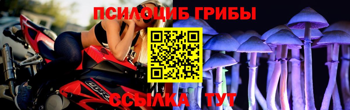 Галлюциногенные грибы Psilocybe  Галлюциногенные грибы Magic Shrooms  Вход с VPN  Новоалтайск 